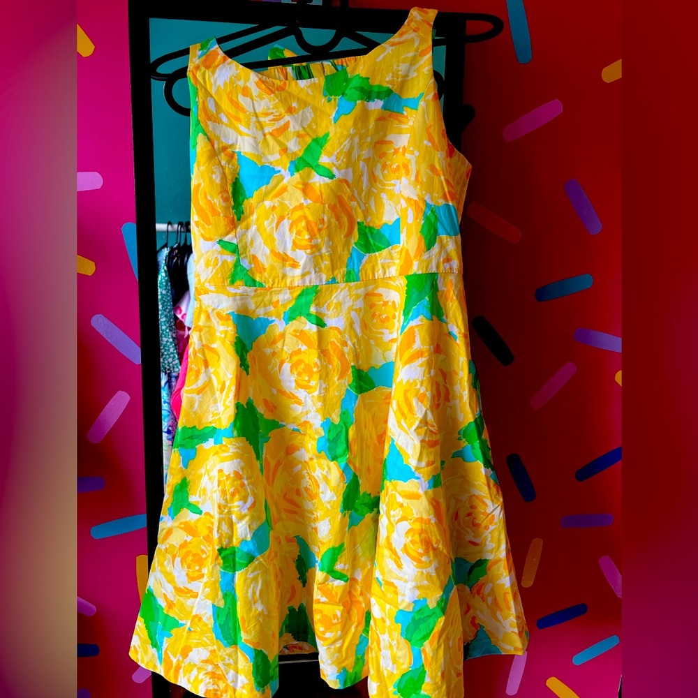 Cute Lilly Pulitzer sun dress